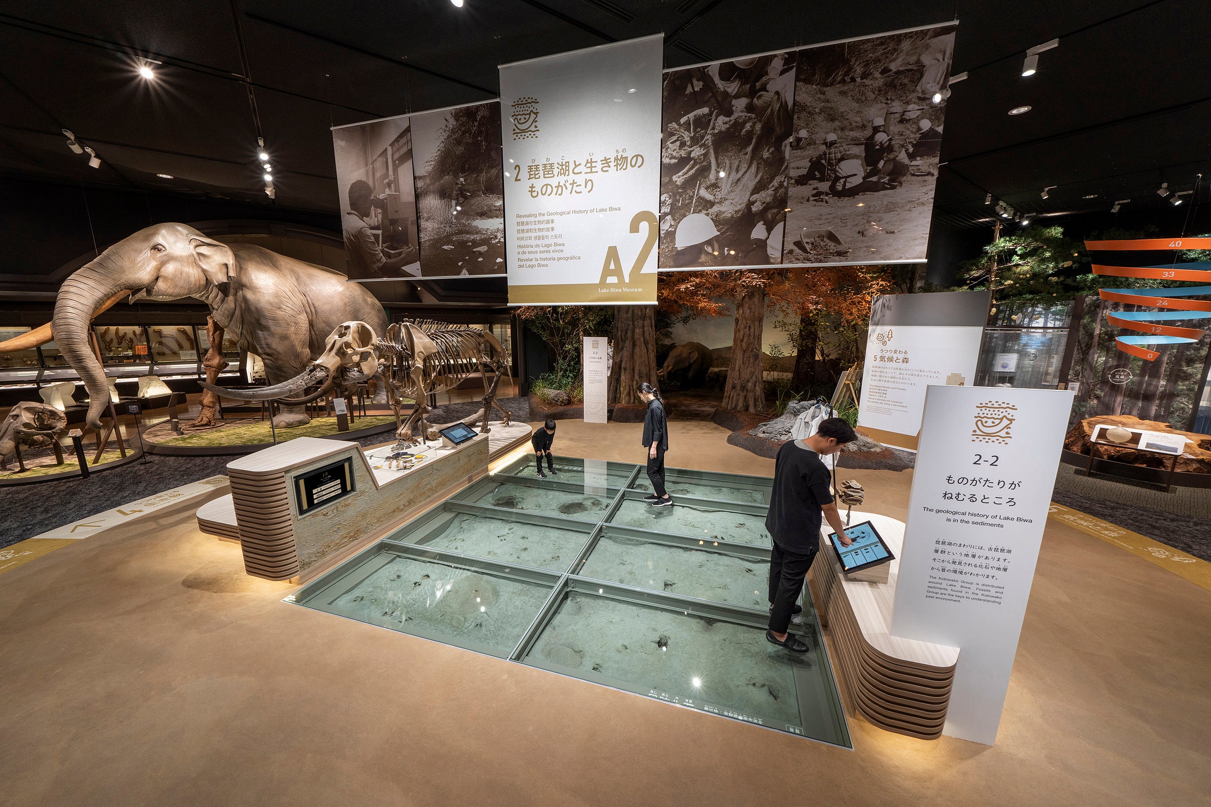 滋賀県立琵琶湖博物館第3期リニューアル | 実績紹介 | 株式会社乃村工藝社
